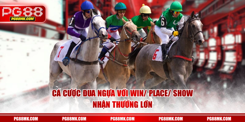 Cá cược đua ngựa với Win/ Place/ Show nhận thưởng lớn