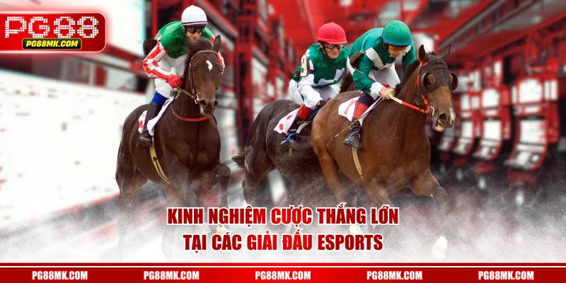 Kinh nghiệm cược thắng lớn tại các giải đấu Esports