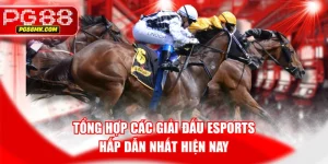 Tổng Hợp Các Giải Đấu Esports Hấp Dẫn Nhất Hiện Nay