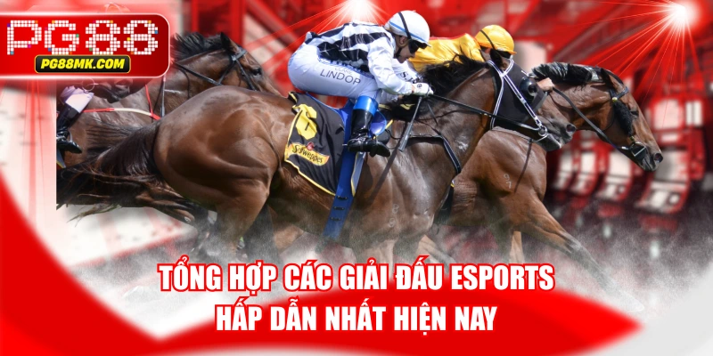 Tổng Hợp Các Giải Đấu Esports Hấp Dẫn Nhất Hiện Nay